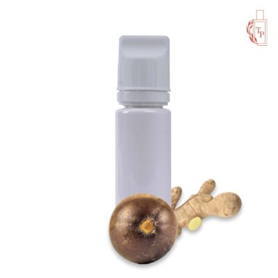 LE332 Refill tubetube - Ginger - Maninka